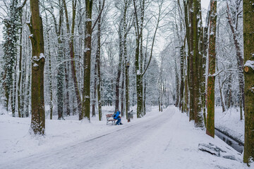 Winter Alley Covered with Cnow in Park Outdoors
