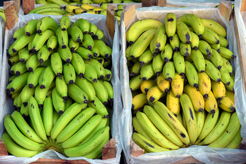 Banana boxes on display at the wholesale market stall