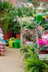 Beautiful spring flowers in store. Side view