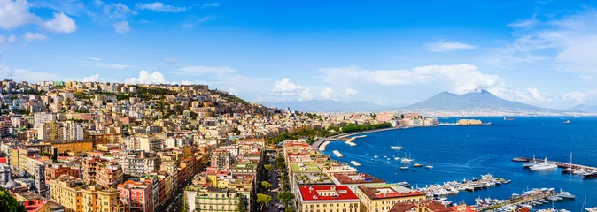 Poster Naples city and port with Mount Vesuvius on the horizon seen from the hills of Posilipo. Seaside landscape of the city harbor and gulf on the Tyrrhenian Sea © PhotoFires