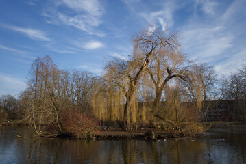 Tranquil outdoor sunny scenery around pond, waterside and island at Zoo park in Düsseldorf, Germany in winter season.