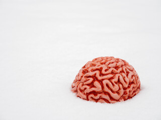 Human brain in a snow in winter.