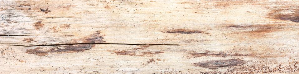 Wooden texture horizontal