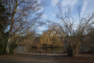 Tranquil outdoor sunny scenery around pond, waterside and island at Zoo park in Düsseldorf,...