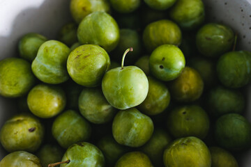 plant-based food, fresh green plums in fruit bowl on blue background