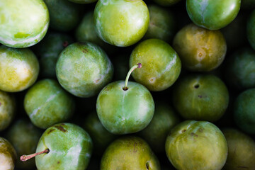 plant-based food, fresh green plums in fruit bowl on blue background