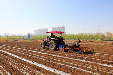 Fototapeta premium farmers use agricultural machinery to plant plastic film peanuts on a farm, LUANNAN COUNTY, Hebei Province, China