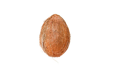 Coconut on a white background
