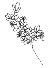 Flowering branch of apple tree Continuous Line Drawing for print, beauty, organic, etc. Sketch of Flowers Spring concept. One Line in trendy minimalistic style. Vector Illustration. 