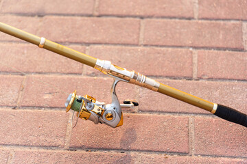 golden carbon fishing rod, fishing on the bank, fishing pole on the floor
