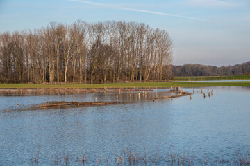 Landscape with flooded river Maas in Bergen - Noord Limburg, the Netherlands