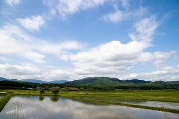 風景素材　初夏の水田と青く綺麗な空