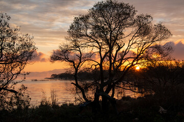 Fototapeta na wymiar 風景素材　美しい琵琶湖の夜明け