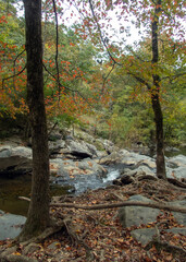 As leaves begin to turn colors a stream in Arkansas offers a pretty view and peaceful tranquility. Slight bokeh effect.