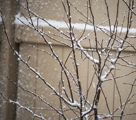 Philly 2021 Snowstorm