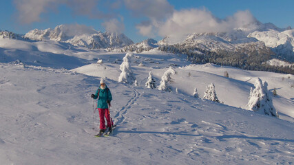 Fototapeta na wymiar AERIAL: Splitboarder explores the Slovenian mountains on a sunny winter day.