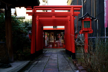 Fototapeta premium 鳥居