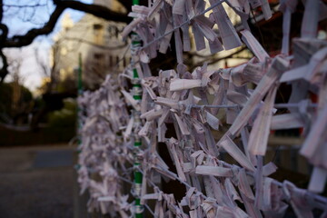 大須観音　おみくじ