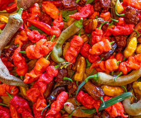 Hot Peppers