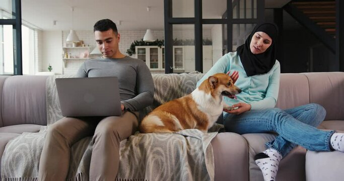 Muslim woman in hijab plays with cute corgi puppy near husband working on laptop on comfortable sofa in living room slow motion