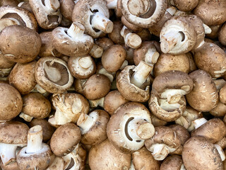 closeup view of bulk pile fresh farmers market cremini mushrooms