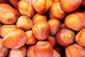 Hazelnut with a small crack on top of hazelnuts pile. Selective focus