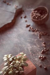 Moody dark background with coffee beans in coconut bowl and small succulent plant on aged textured background. Distressed grunge textures, place for text. Delicious, aromatic and refreshing smell.