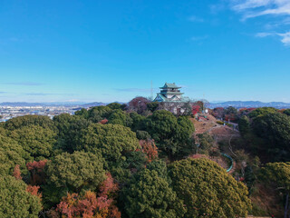 空中撮影した小牧城の秋風景