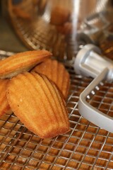 Cooling freshly baked madeleines