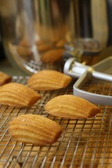 Cooling freshly baked madeleines