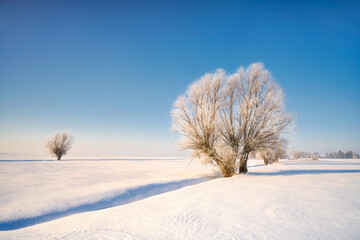 Winter rural landscape, Poland around Malbork	