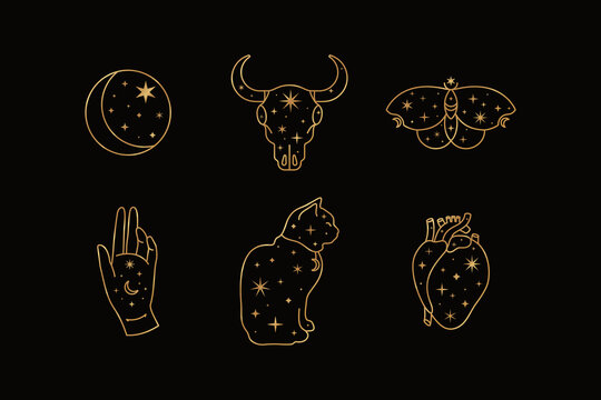 Magic and Mystical Collection in Trendy Minimal Style with Golden Moon, Bull Skull, Butterfly, Hand, Cat symbols. Vector Illustrations for Boho Print, Tattoo, Social Media and more