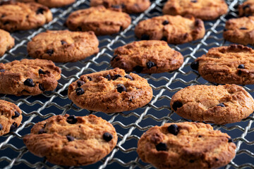 DELICIOUS COOKIES WITH CHOCOLATE FRESHLY BAKED ON THE OVEN RACK. HEALTHY HOMEMADE SWEETS. VEGAN BISCUITS.