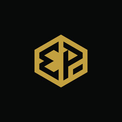 Initial letter EP hexagon logo design vector