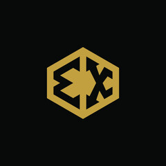Initial letter EX hexagon logo design vector