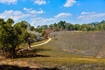 Naklejka premium landscape, sky, nature,
