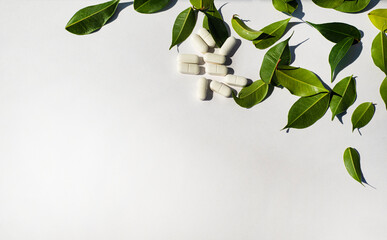
Border corner made of white pills and fresh green leaves. Template for the text of the announcement of the note. Health and nutritional theme. Minerals and vitamins.