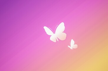 The beautiful background of butterfly.