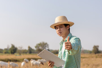 Young asian farmer man giving thumbs up with smiling and holding clipboard checklist with blurred goats eating grass in field