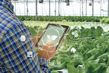 smart farming,agriculture industry technology concept, farmer using tablet to control in planting,...