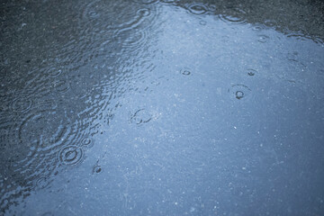 Puddle on a rainy day with ripples
