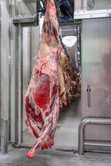 Chopped beef carcasses.
