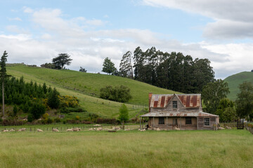 Fototapeta na wymiar Old farmhouse surrounded by grassy hills and trees. Sheep in the field surrounding the house.