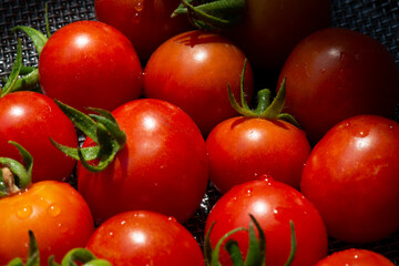 A tomatoes are in the basket