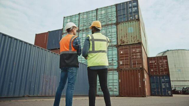 Handsome Industrial Engineer and African American Supervisor in Hard Hats and Safety Vests Standing with Their Backs to the Camera in Container Terminal. Colleagues Talk About Logistics Operations.