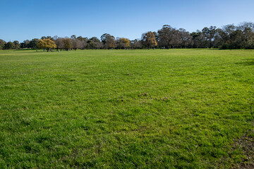 field and blue sky