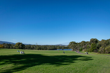 Fototapeta premium golf course in the morning