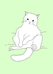 猫