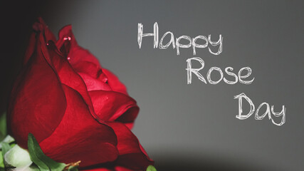 Illustration of Happy rose day with a closeup of red rose