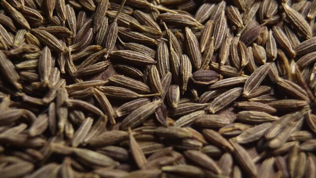 Cumin or jeera seeds, close-up. Seasoning cumin or jeera, a lot of seeds rotating.